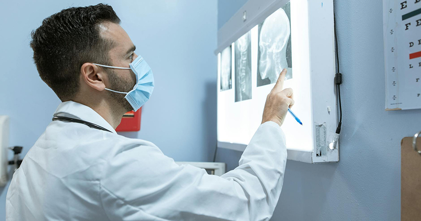 Understanding the Human Brain: New Insights from Neuroscience post 08